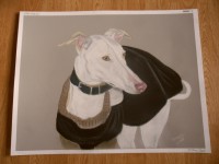 /album/galerie-photos/photo-1128-jpg/